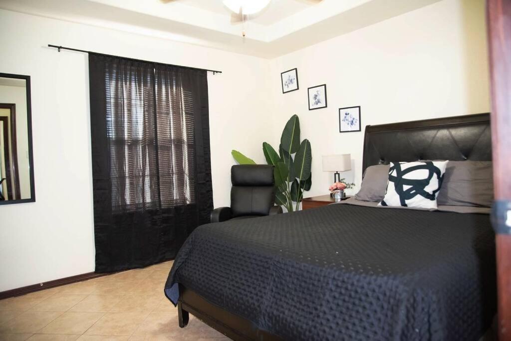 1 Min To University Utrgv 2Bd 2Bt Town Suite Edinburg Exterior foto